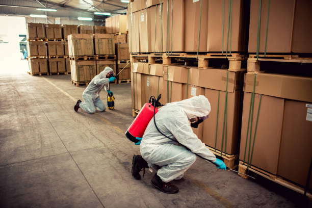 Best Bed Bug Extermination  in Sells, AZ