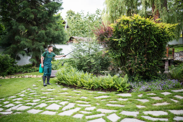 Best Commercial Pest Control Services  in Sells, AZ