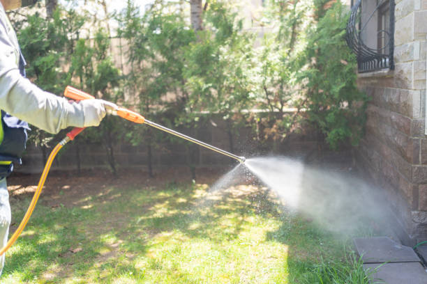 Best Residential Pest Control  in Sells, AZ
